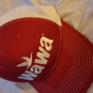 Wawa Baseball hat